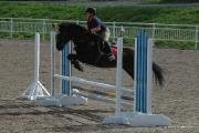 Flash McQueen Superbe poney!