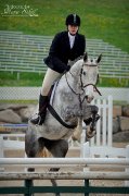 Jument TB 6 ans de saut à vendre