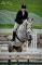 Jument TB 6 ans de saut à vendre