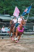 Bon cheval ALL AROUND 
