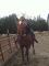 Bon cheval ALL AROUND 