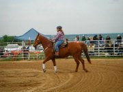 Bon cheval ALL AROUND 