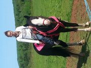 cremello et paint a vendre 