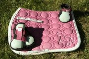 Tapis de selle, polos et guêtre à vendre PAS chère!!!