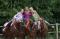 recherche cours d'équitation western proche de...