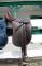 Selle de dressage Bruno Delgrange