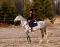 Jument Thoroughbred/Warmblood