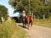 recherche pension mirabel pour l'automne