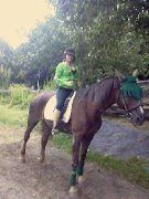 Recherche un emploie avec les chevaux .