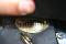 Selle anglaise mixte (tout usage) GRIFFITH