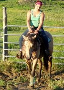 ÉTALON BUCKSKIN DE 3 ANS CALME