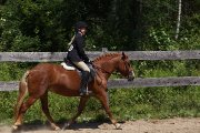 Medium Poney a vendre