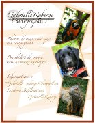 Photographe Abordable
