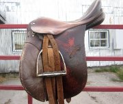 Petite selle anglaise a vendre !