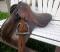 Petite selle anglaise a vendre !