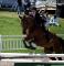 DOIT PARTIR PRIX REDUIT tb bai de 9ans 