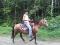 Jument quaterhorse environ 10 ans !