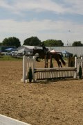 PROSPECT SAUTEUR/MEDAILLE