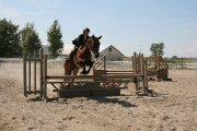 PROSPECT SAUTEUR/MEDAILLE