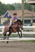 SUPERBE LARGE PONEY A VENDRE