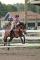 SUPERBE LARGE PONEY A VENDRE