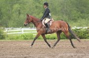 SUPERBE LARGE PONEY A VENDRE