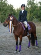 SUPERBE LARGE PONEY A VENDRE