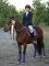 SUPERBE LARGE PONEY A VENDRE