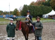 SUPERBE LARGE PONEY A VENDRE