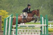 SUPERBE LARGE PONEY A VENDRE