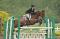 SUPERBE LARGE PONEY A VENDRE