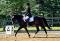 Poney de dressage très flashy