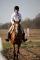 Superbe jument Warmblood