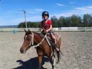 Ponette de 4 ans à vendre
