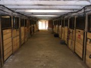 Box pour chevaux à louer