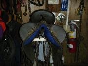 Selle australienne à vendre