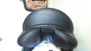 selle dressage collegiate convertible 17''