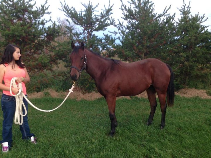 pouliche 1 an et demi prospect barils