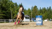 Demi-pension Pouliche 4 ans st-augustin de desmaures