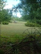 Pension pour chevaux, Notre-Dame-du-Mont-Carmel