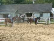 Pension pour chevaux, Notre-Dame-du-Mont-Carmel