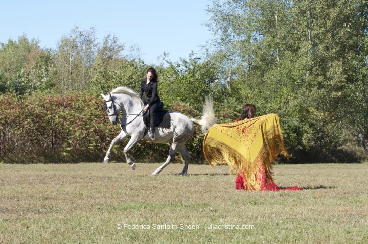 projet photo d' ABRAZAR-ABRASAR.