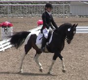 FEI poney 14 mains