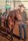 Super jument enr. QH ****** VENDU****