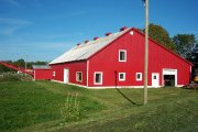Pension pour chevaux  intérieure et  extérieur