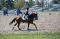 Sauteur d'exception