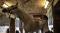 massotherapie equine 