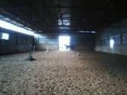 Pension pour chevaux classique a St-Eustache