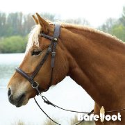 Équipement équestre rechercher ! 