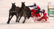 voiture marathon sleigh marathon